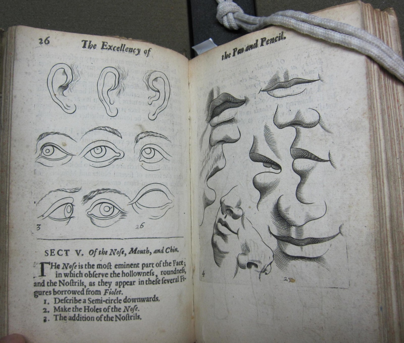 Engravings of ears, eyes, mouths, and noses
