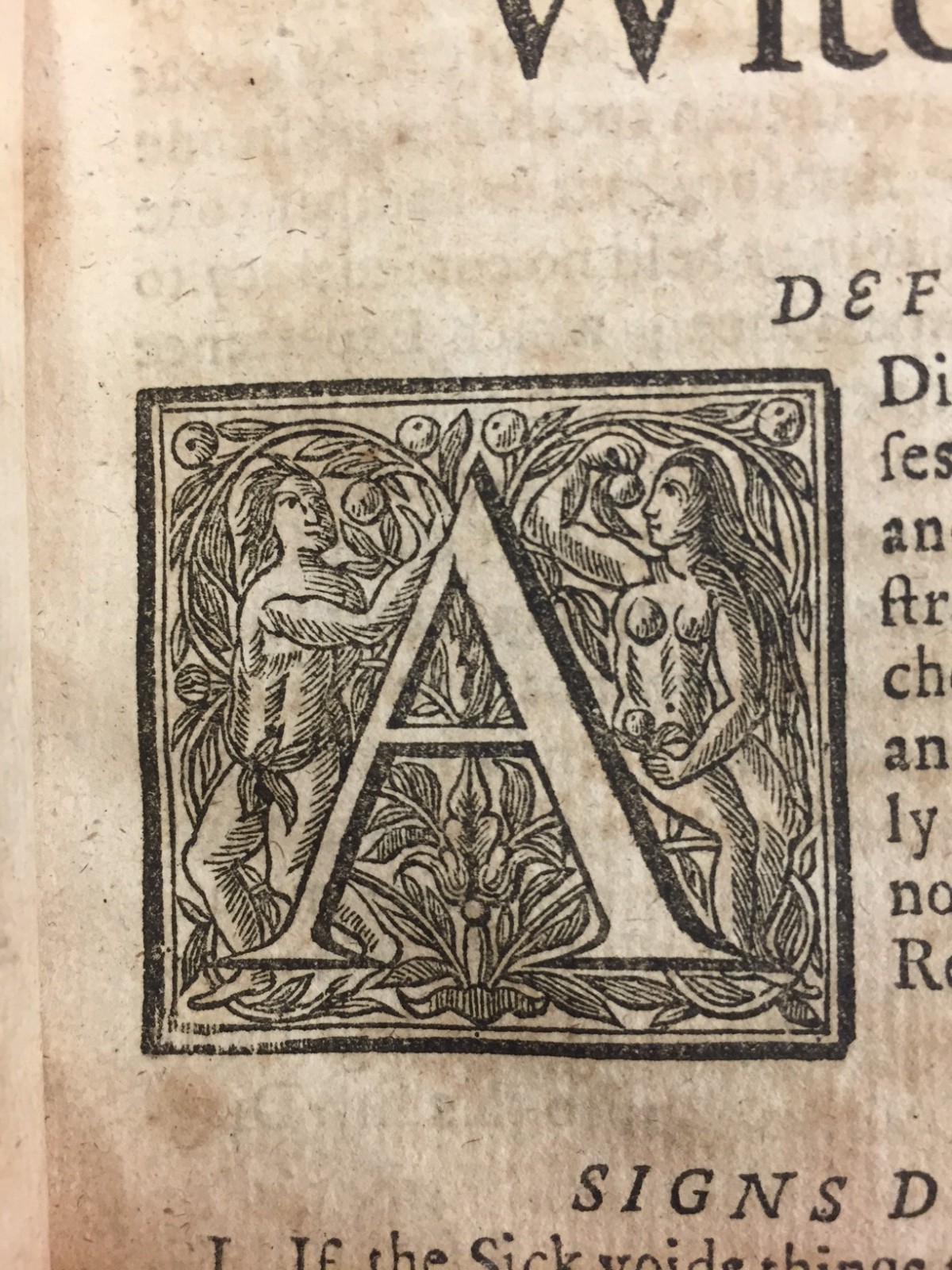 The historiated capital at the beginning of the text depicts Adam and Eve in the Garden of Eden at the moment of the Fall, when Eve eats the fruit of the Tree of the Knowledge of Good and Evil.  Perhaps Drage references his own knowledge he is sharing with his readers on the topic of witchcraft and remedy, or perhaps he is alluding to the moment when sin entered the world.