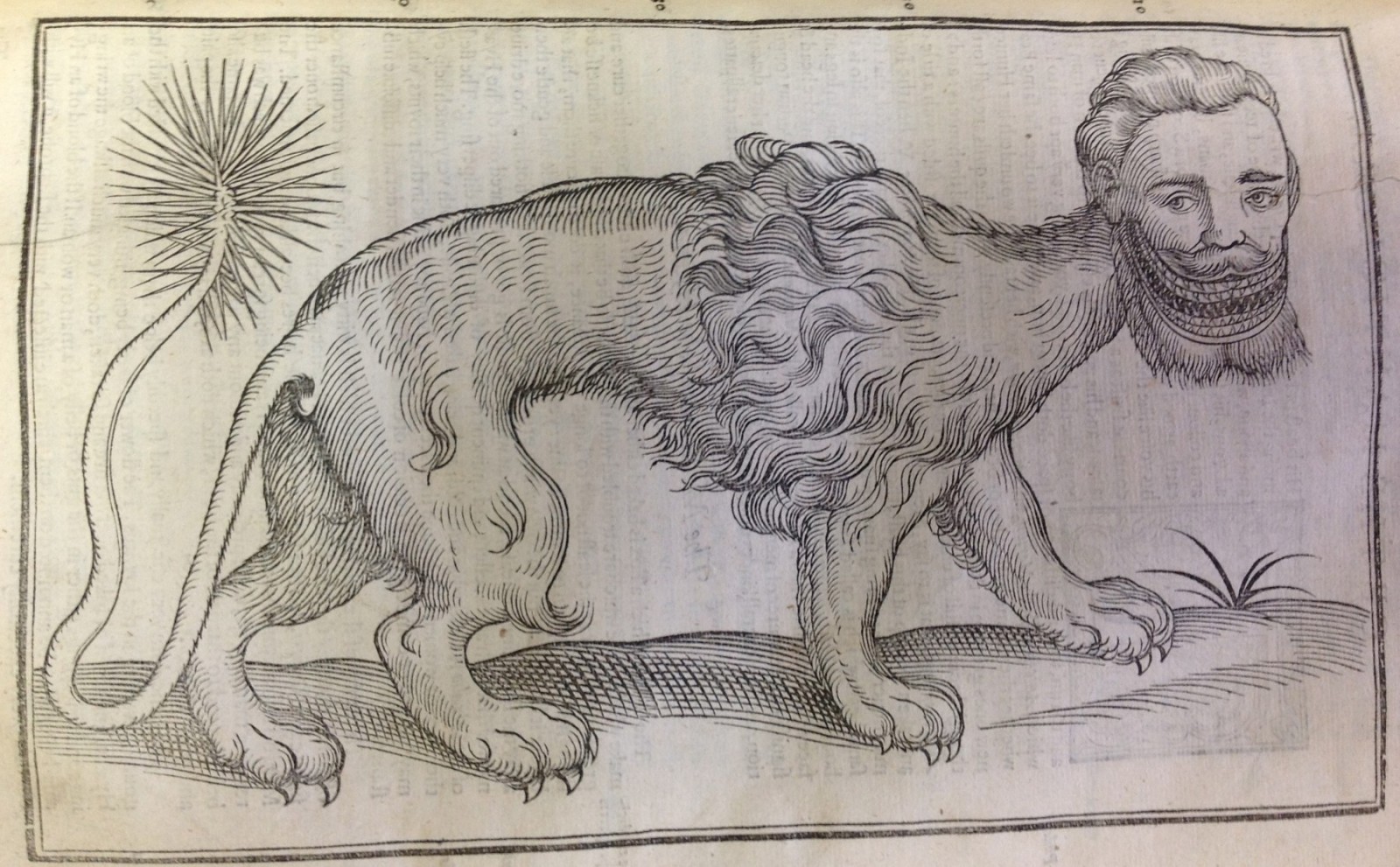 Item of the Week: Foure-Footed Beastes - Clark Library